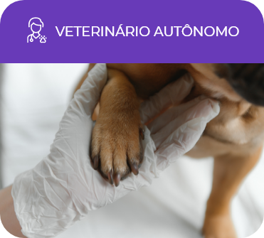 saúde animal veterinário autônomo