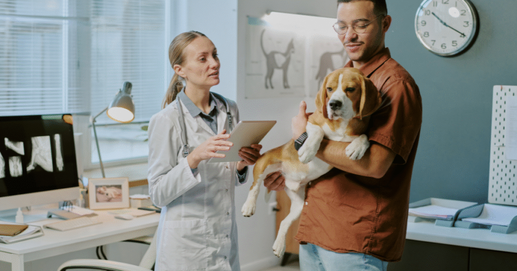 veterinária passando ao tutor as informações do prontuário veterinário