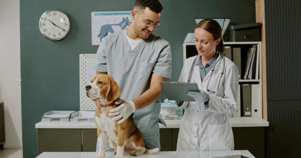médica fazendo anotações no prontuário veterinário 